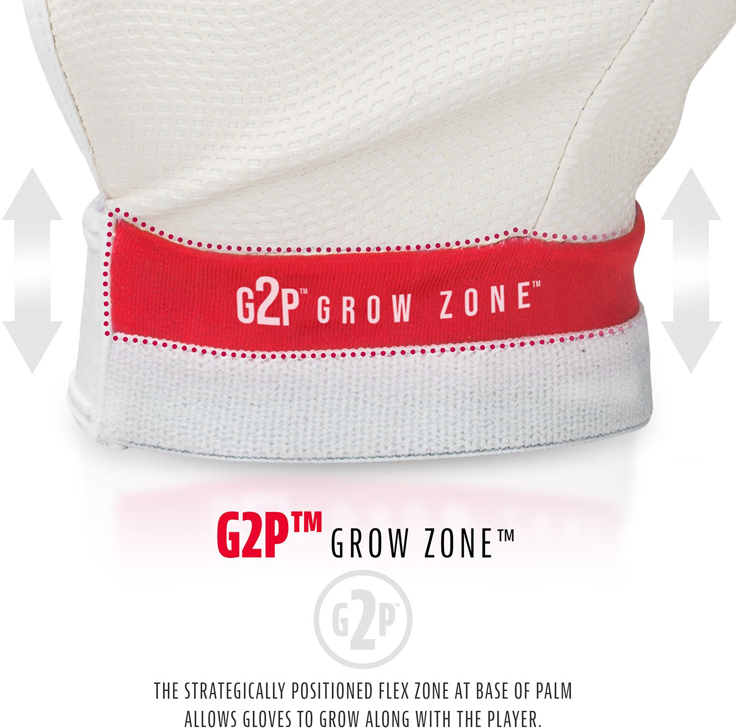 Franklin Youth Grow To Pro Tee Ball Batting Gloves product image