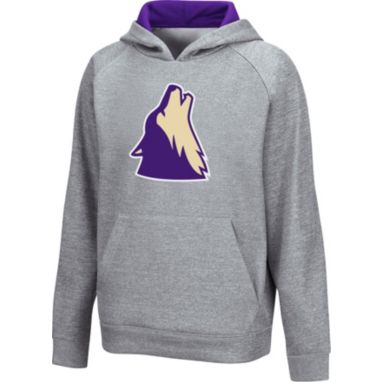 sorry, Colosseum Youth College of Idaho Yotes Grey Pullover Hoodie is currently out of stock