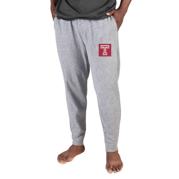 Baltimore Ravens Concepts Sport Mainstream Pants - Gray