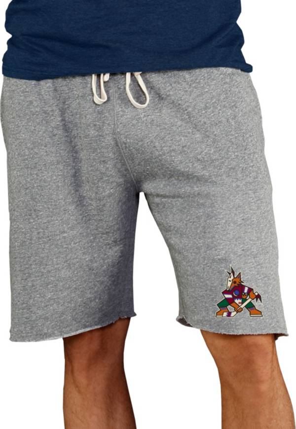 Concepts Sport Men's Arizona Coyotes Grey Mainstream Terry Shorts product image