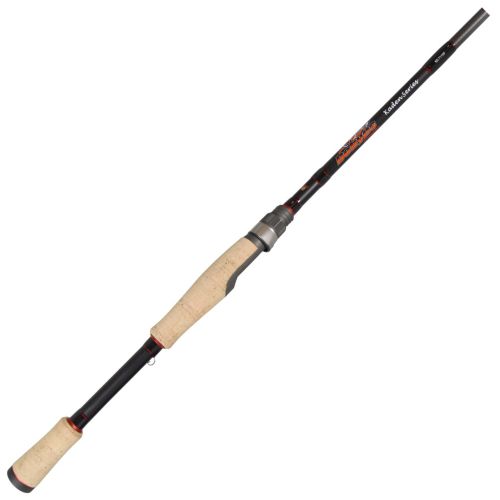 dobyns a rig rod Rods Fury Spinning Fuji graphite reel seats and AA What's your go-to rig on