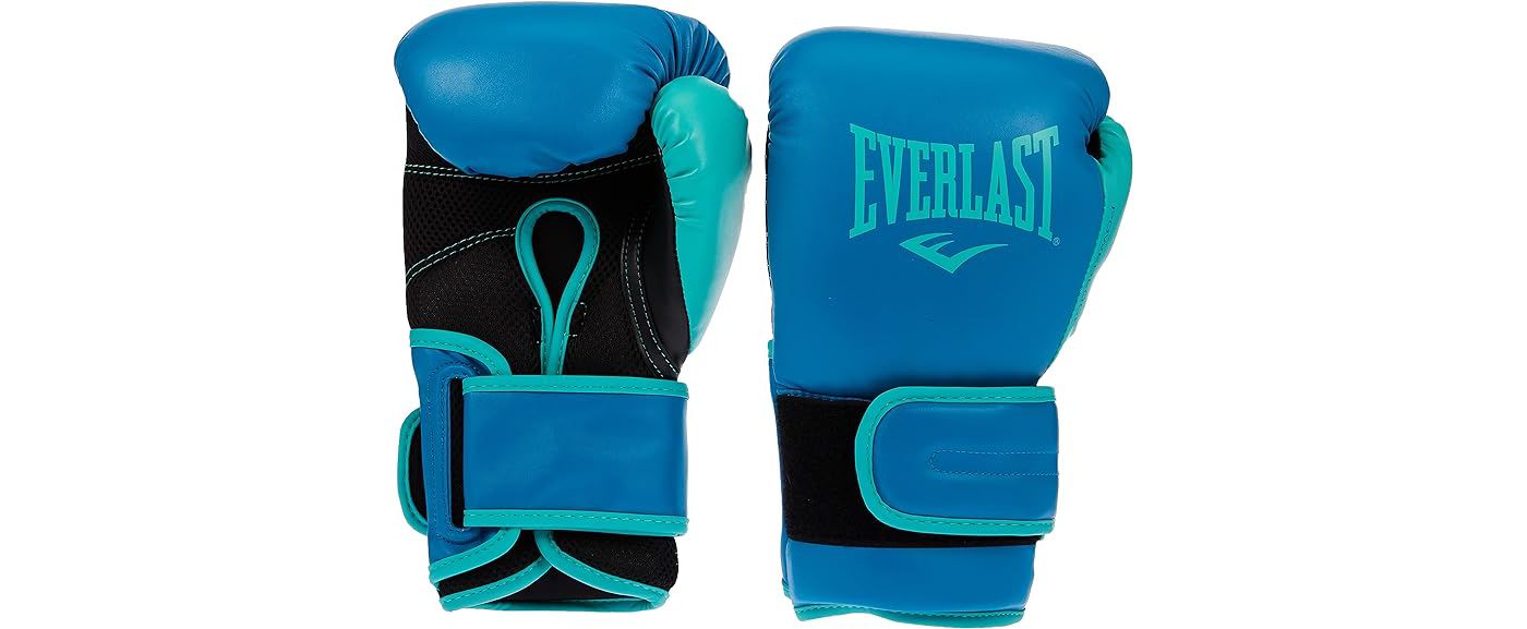 Everlast powerlock boxing gloves retail discount for $100