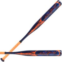 Rawlings Eclipse Fastpitch Bat (-12) | Dick's Sporting Goods
