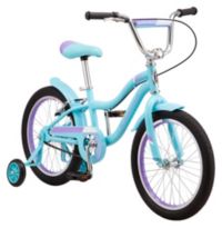 18 schwinn store girl's bike