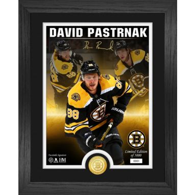 sorry, Highland Mint Boston Bruins David Pastrnak Signature Series Bronze Coin Photo Mint is currently out of stock