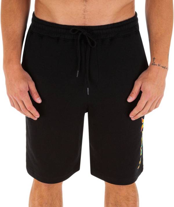 Hurley Men's One and Only Pride Fleece Shorts product image