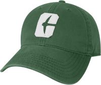 Nike Men's Charlotte 49ers Green Heritage86 Logo Adjustable Hat