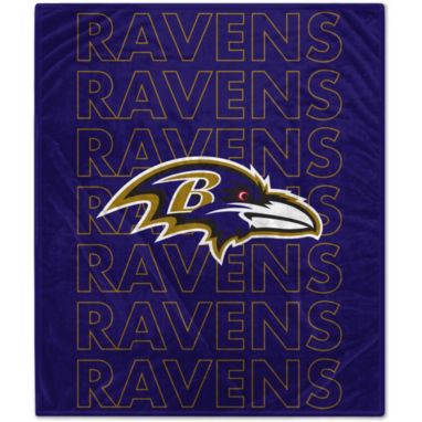 sorry, Pegasus Sports Baltimore Ravens 60'' x 70'' Echo Wordmark Blanket is currently out of stock