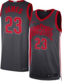 Men's Nike x LeBron James Scarlet/Gray Ohio State Buckeyes