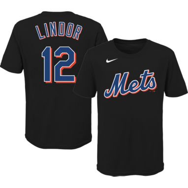 sorry, Nike Youth New York Mets Francisco Lindor #12 Black T-Shirt is currently out of stock