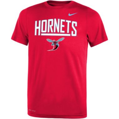 sorry, Nike Youth Delaware State Hornets Red Dri-FIT Legend T-Shirt is currently out of stock