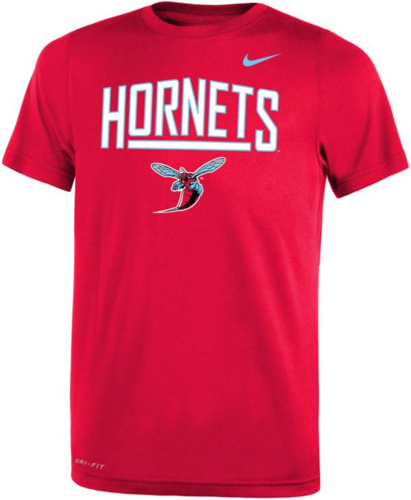 Nike Youth Delaware State Hornets Red Dri-FIT Legend T-Shirt