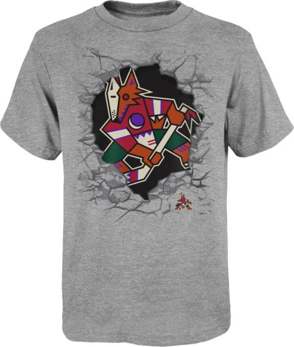 NHL Youth Arizona Coyotes Breakthrough Grey T-Shirt product image