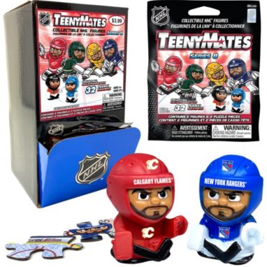 sorry, Party Animal NHL TeenyMates Figurine Series 8 Pack is currently out of stock