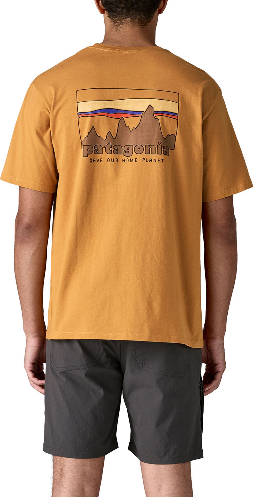 Patagonia Men's '73 Skyline Organic T-Shirt product image