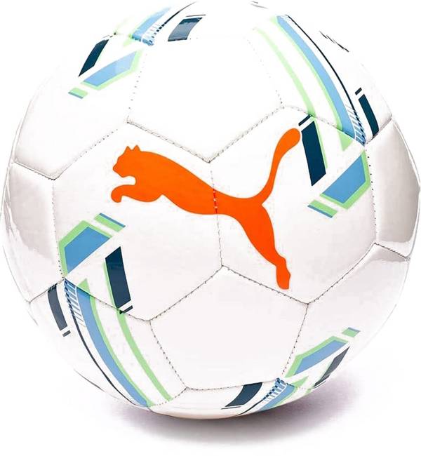 PUMA Futsal 1 Trainer MS Ball