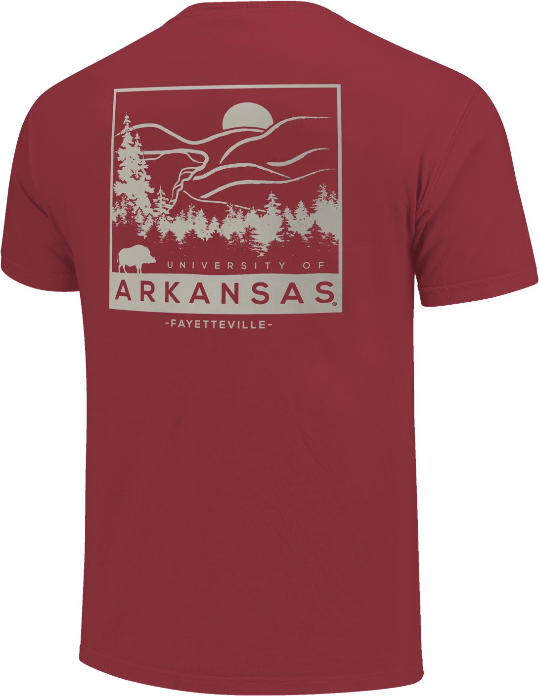 Image One Arkansas Razorbacks Cardinal Scene Sketch T-Shirt