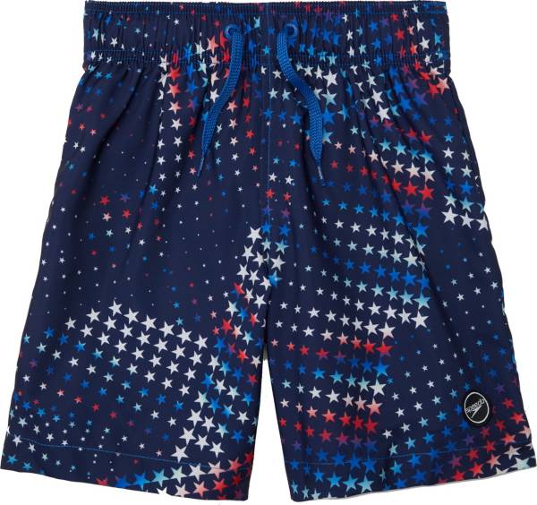 Speedo Boy's Starry Nite Sky Redondo 15” Volley Swim Trunks