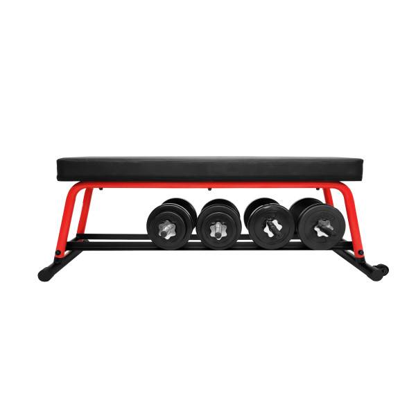 Sunny best sale weight bench