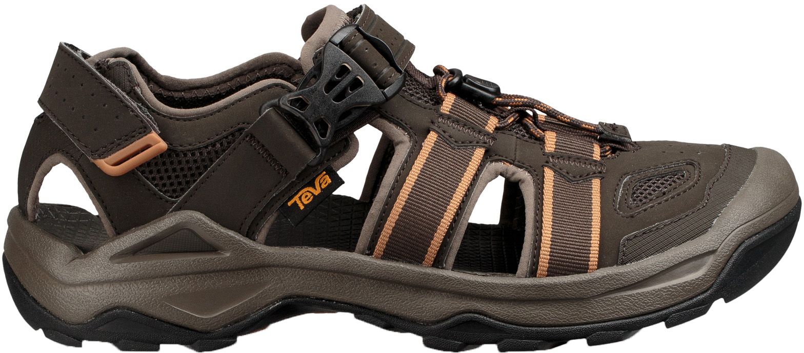 teva omnium mens