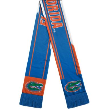 sorry, FOCO Florida Gators Colorwave Scarf is currently out of stock