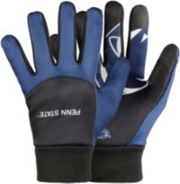 Minnesota Vikings Palm Logo Texting Gloves FOCO