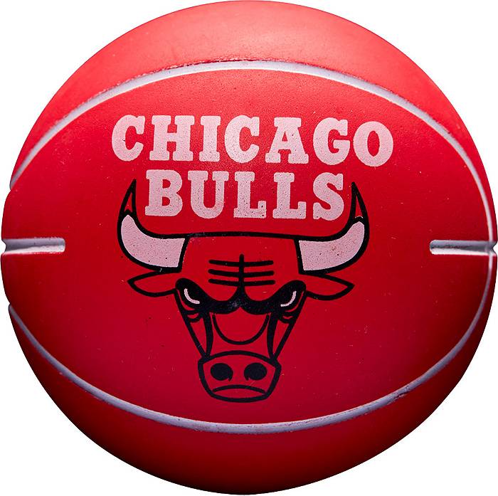 NBA Chicago Bulls Over The Door Mini Basketball Hoop