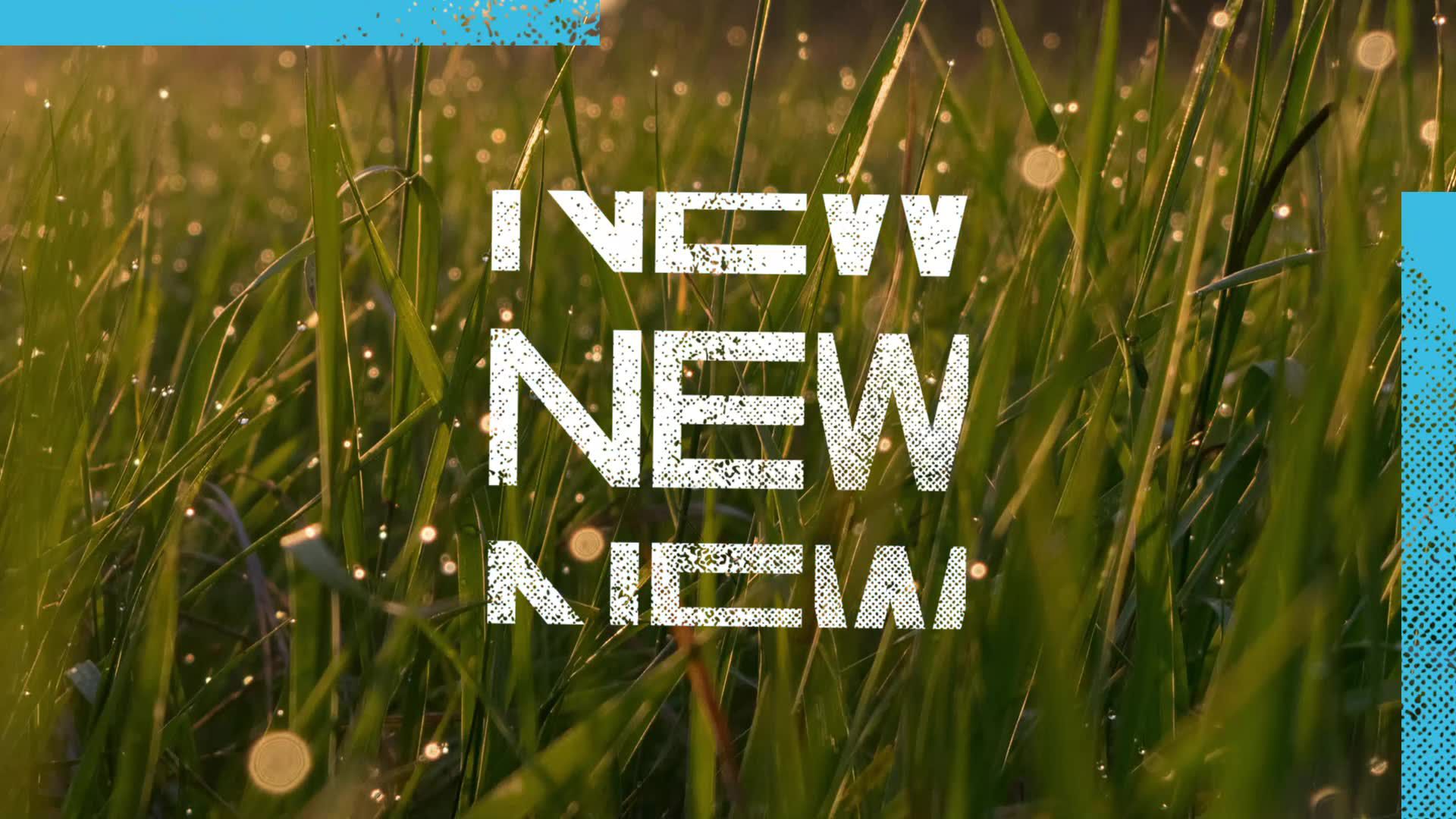 DeMarini CF Fastpitch Bat (-8) product