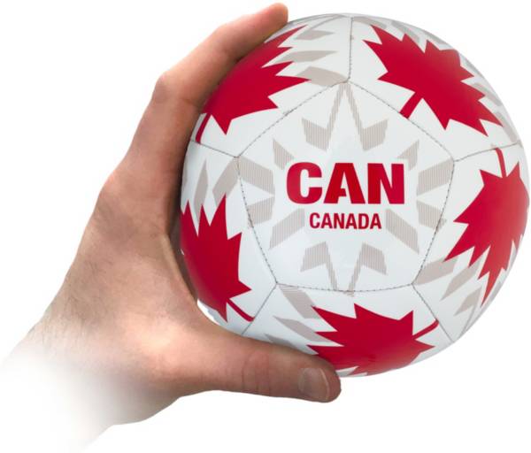 DICK'S Sporting Goods Canada Mini Soccer Ball
