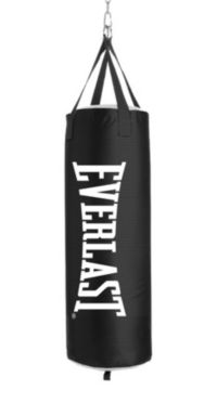 Everlast punching bag online