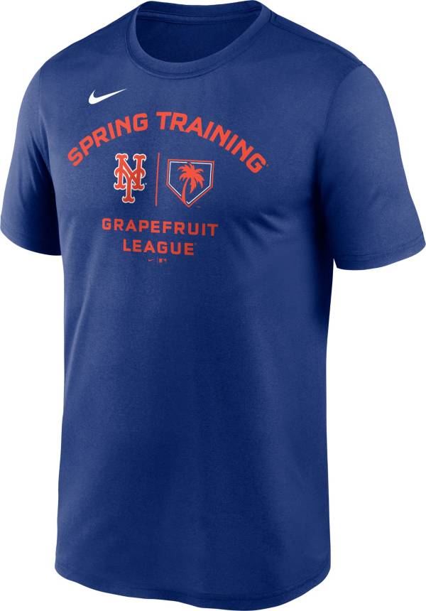 Nike Men's New York Mets Rush Blue 2023 Spring Training Legend T-Shirt product image