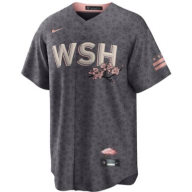 sorry, Nike Men's Washington Nationals 2023 City Connect Cool Base Jersey is currently out of stock