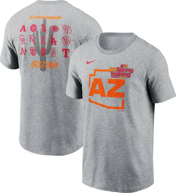 Nike Men's Gray 2023 Spring Training Cactus League T-Shirt product image