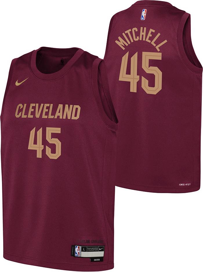 Cleveland Cavaliers Nike Essential Logo Fleece Hoodie - Youth