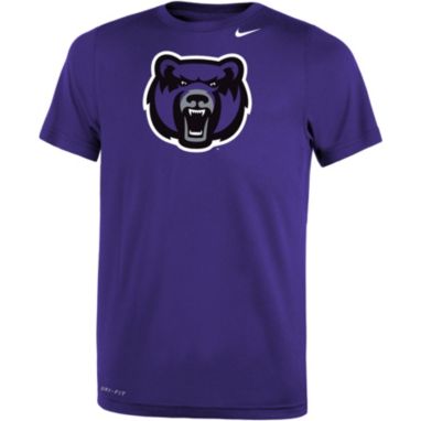 sorry, Nike Youth Central Arkansas Bears  Purple Dri-FIT Legend 2.0 T-Shirt is currently out of stock