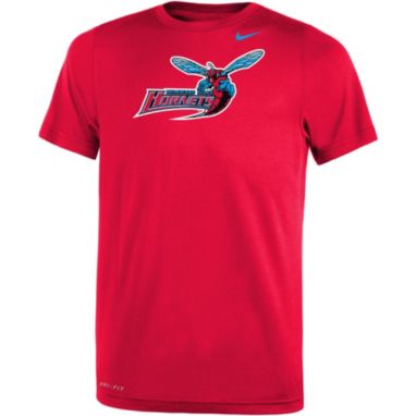 sorry, Nike Youth Delaware State Hornets Red Dri-FIT Legend 2.0 T-Shirt is currently out of stock