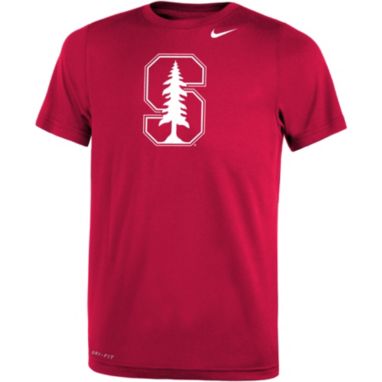 sorry, Nike Youth Stanford Cardinal Cardinal Dri-FIT Legend 2.0 T-Shirt is currently out of stock