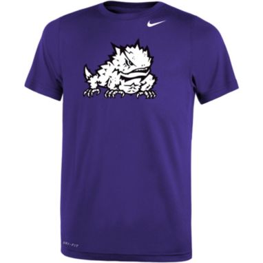 sorry, Nike Youth TCU Horned Frogs Purple Dri-FIT Legend 2.0 T-Shirt is currently out of stock