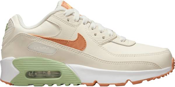 Nike grade school air 2024 max