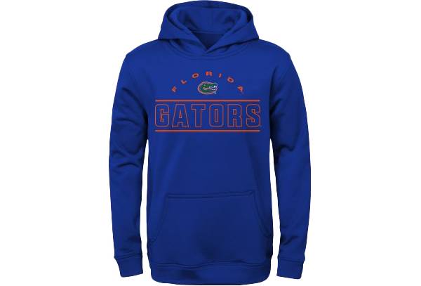 Outerstuff Little Kids' Florida Gators Royal Hoodie | Dick's Sporting Goods