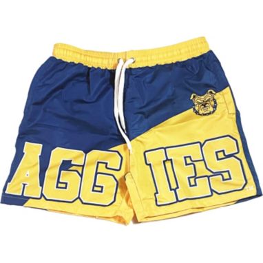 sorry, Tones of Melanin North Carolina A&T Aggies Aggie Blue/Gold Summer Shorts is currently out of stock