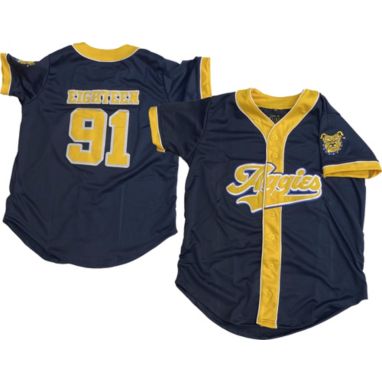 sorry, Tones of Melanin North Carolina A&T Aggies Maroon Baseball Jersey is currently out of stock