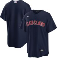 Top-selling Item] Cleveland Guardians Home Blank 3D Unisex Jersey - White