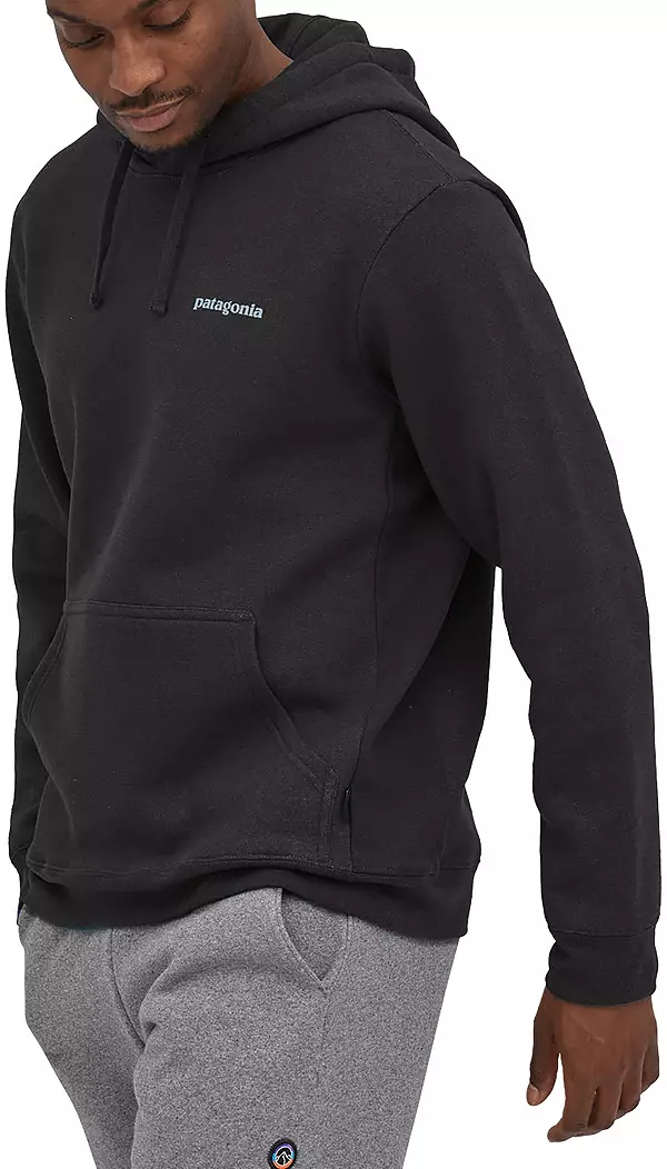 Patagonia Hoodie  Hoodie fashion, Patagonia hoodie, Hoodies men pullover
