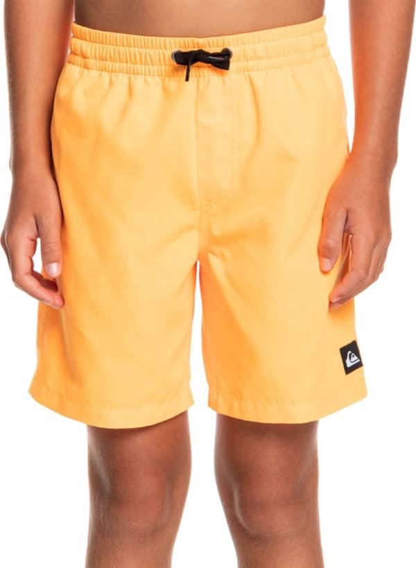 Quiksilver Boys' Everyday Volley 15” Swim Shorts product image