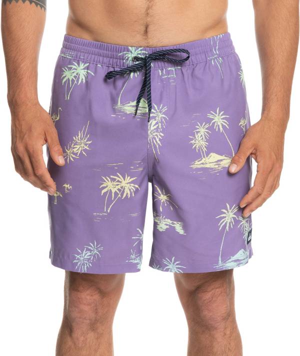 Quiksilver Men's Everyday Mix 17” Volley Swim Trunks product image