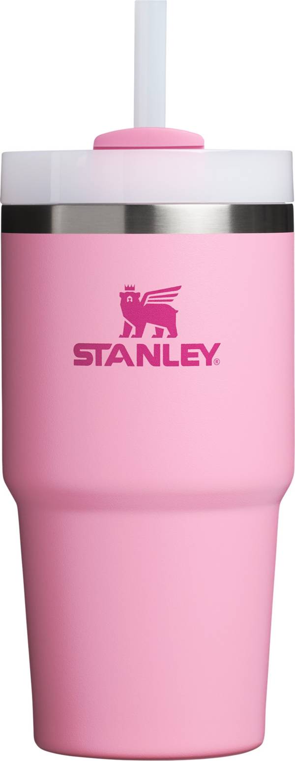 Stanley ADVENTURE QUENCHER H2.O FLOWSTATE™ TUMBLER 20 OZ STAINLESS