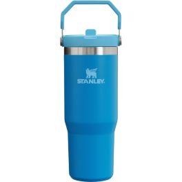 Stainless Steel Mens Stanley Water Bottle Stanley 36 IceFlow