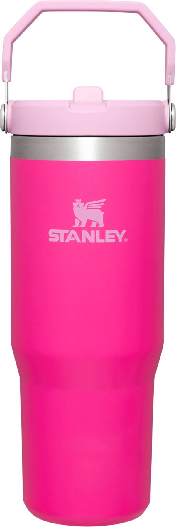 Stanley 30 Oz. IceFlow Tumbler with Flip Straw Golf Galaxy