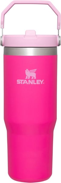 Jade) Stanley IceFlow Stainless Steel Tumbler Vacuum Insulated Water Bottle  Reusable Cup with Straw Leakproof Flip